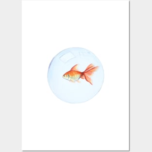 Gold fish Posters and Art